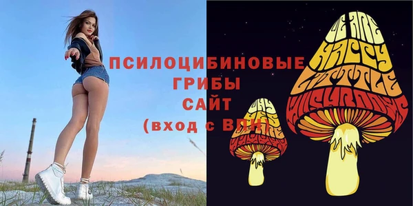 меф Осинники