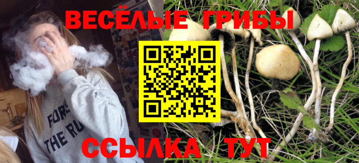 Богородск  Псилоцибиновые грибы Psilocybe  Галлюциногенные грибы GOLDEN TEACHER  Вход с VPN 
