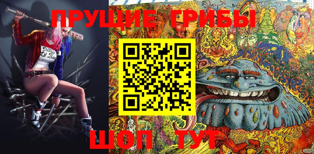 Псилоцибиновые грибы Psilocybine cubensis  Богородск 