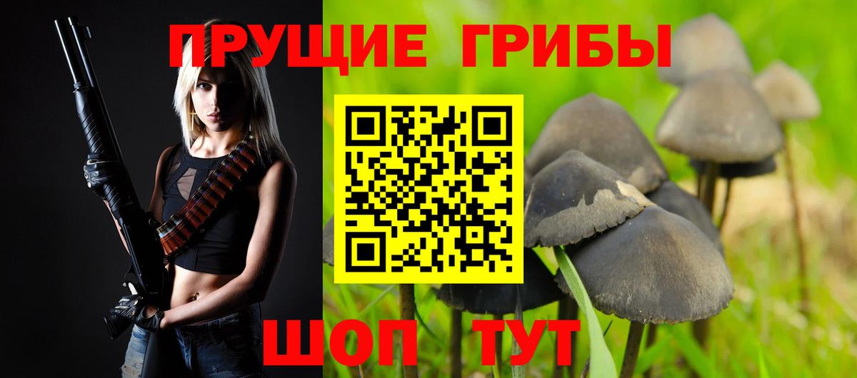 Псилоцибиновые грибы прущие грибы Богородск